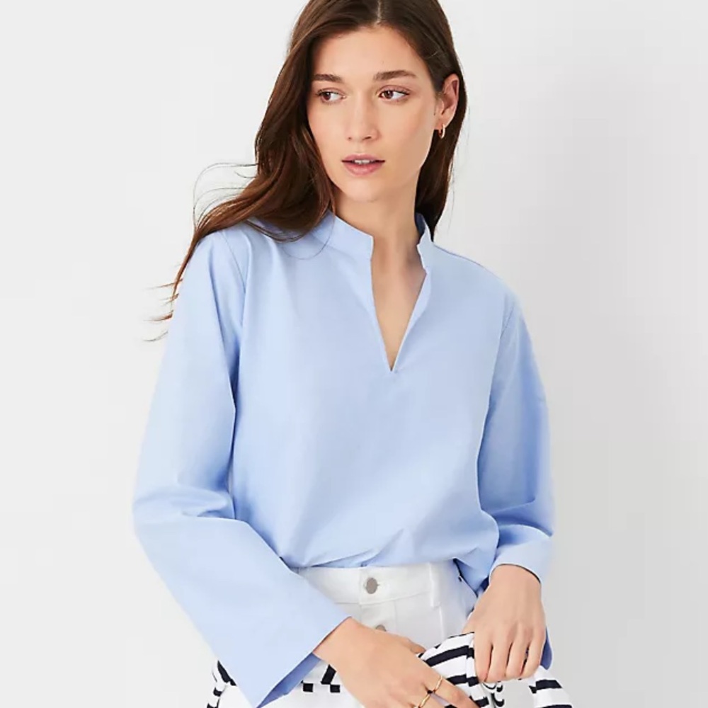Ann Taylor Oxford V-Neck Popover